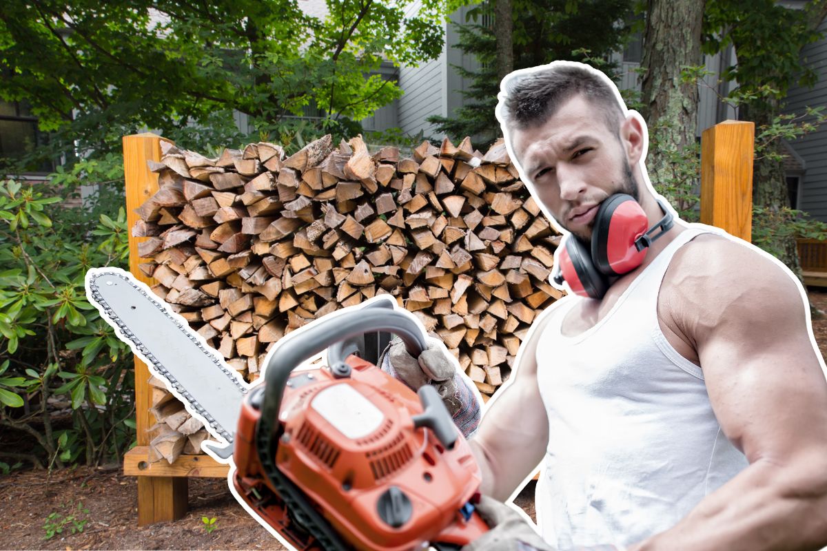 Bois de chauffage : comment choisir entre bûches, briquettes et granulés ?