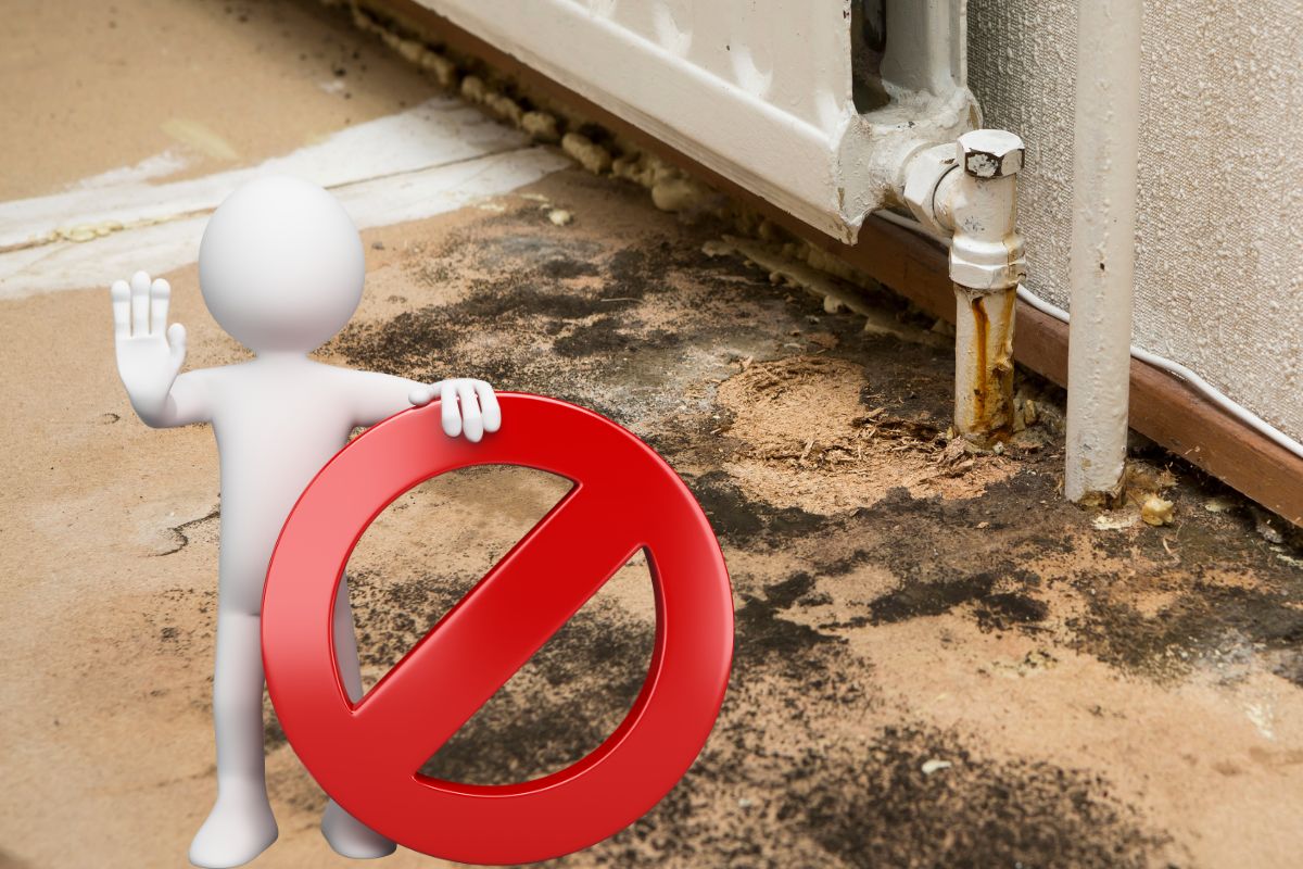 Comment l'humidité impacte l'efficacité énergétique de votre maison ?
