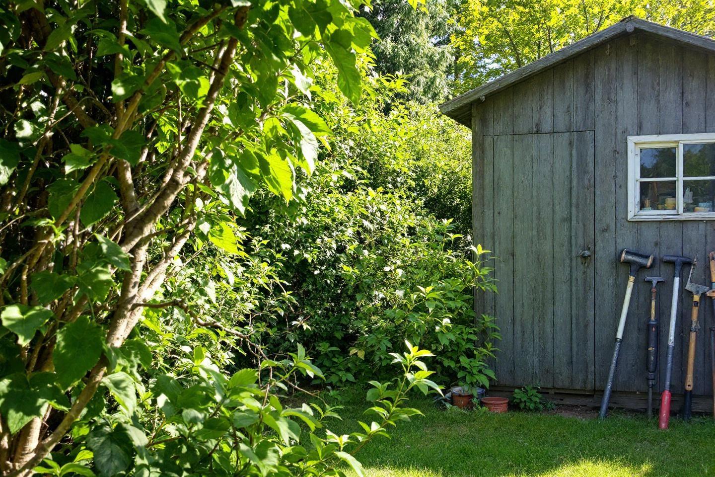 Comment prolonger la durée de vie de votre abri de jardin : entretien, protection et astuces