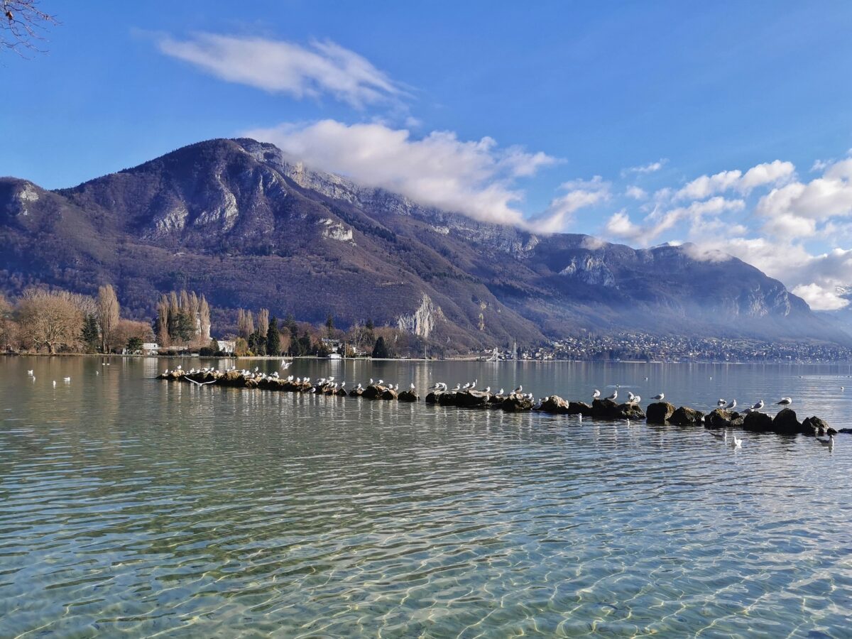 Côté jardin / Fleurir sa ville et gagner un week-end à Annecy