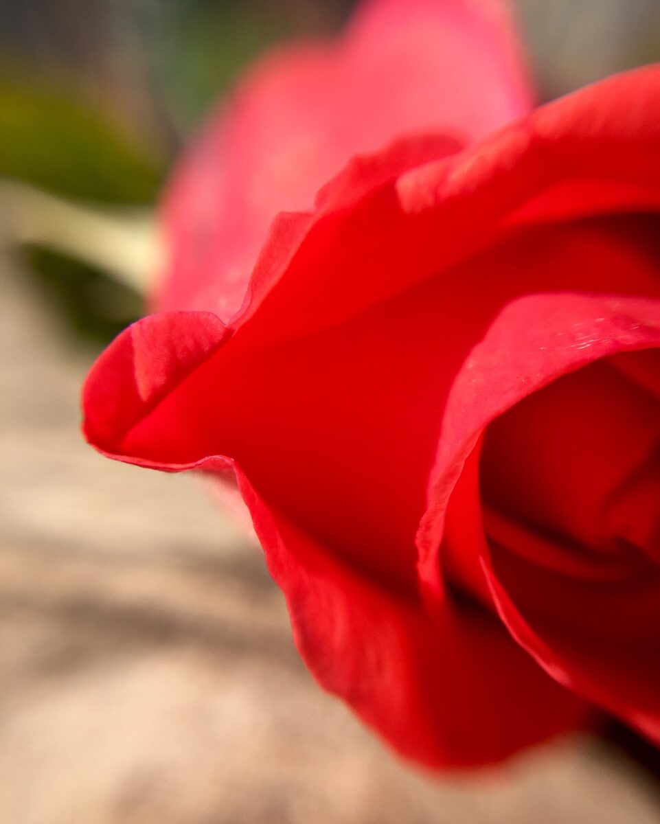 La liste rose d’Hanotin