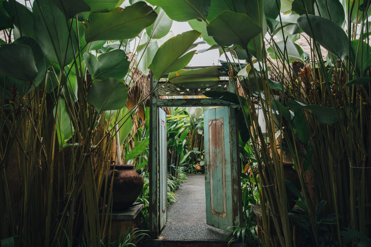 portes ouvertes