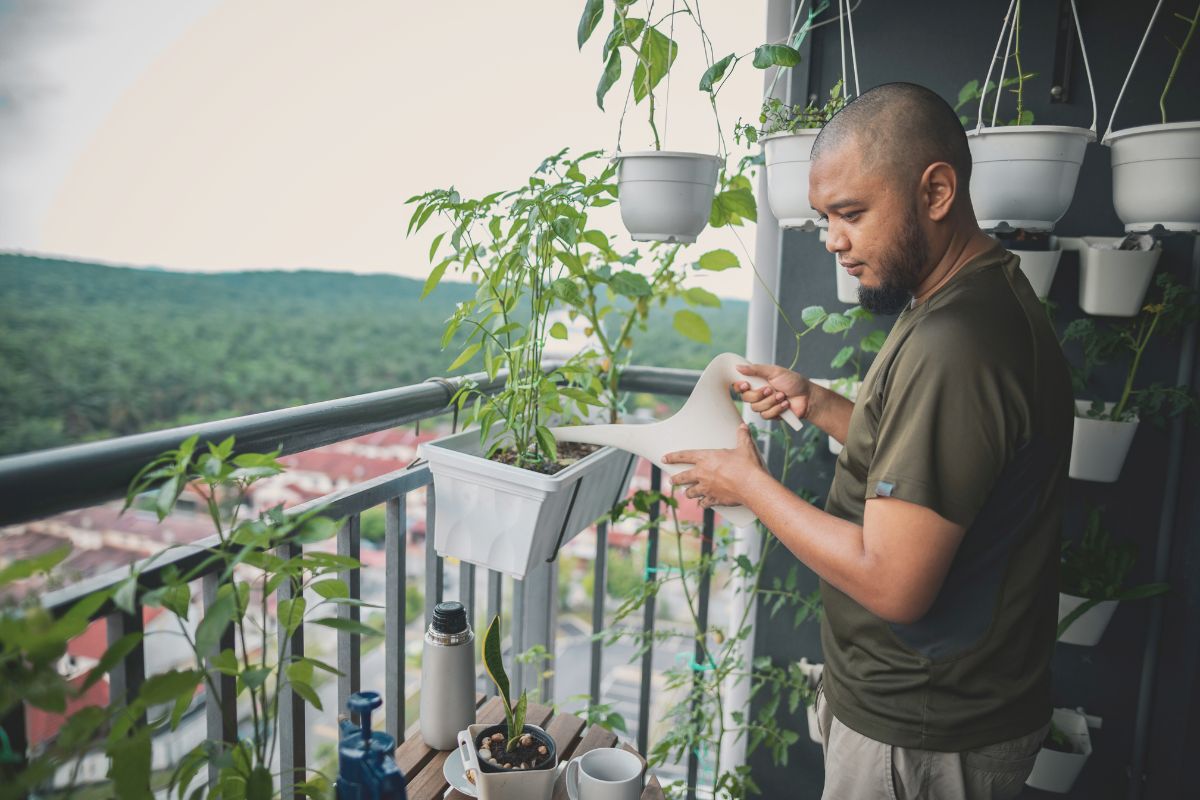 Cultiver son propre potager vertical en appartement : délire de bobo ou réelle utilité ?