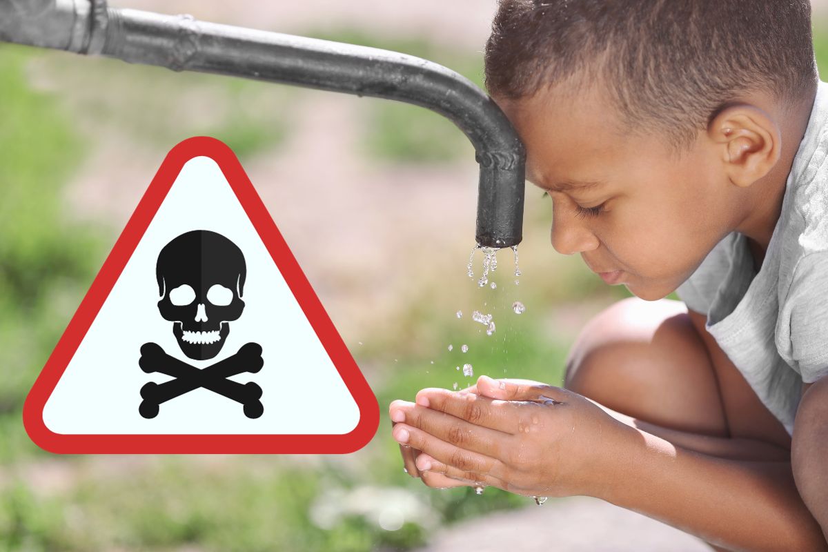 Eau du robinet douteuse ? Purifiez là à la maison avec ces technologies innovantes