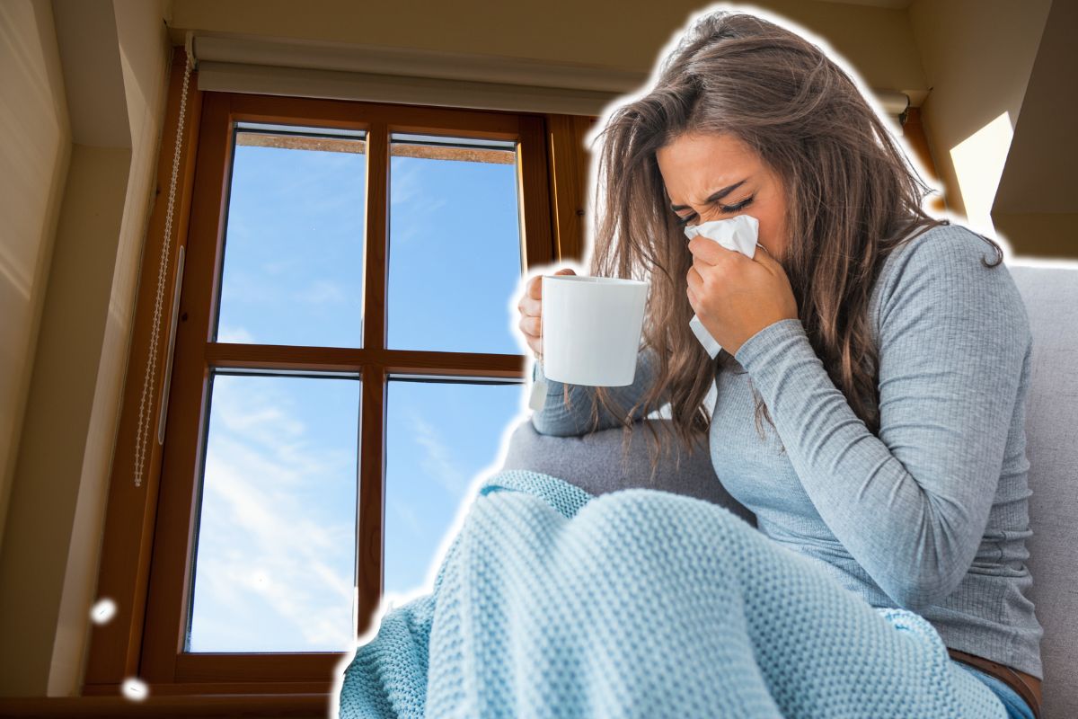 Triple vitrage : est-ce vraiment plus efficace contre le froid et les déperditions thermiques ?