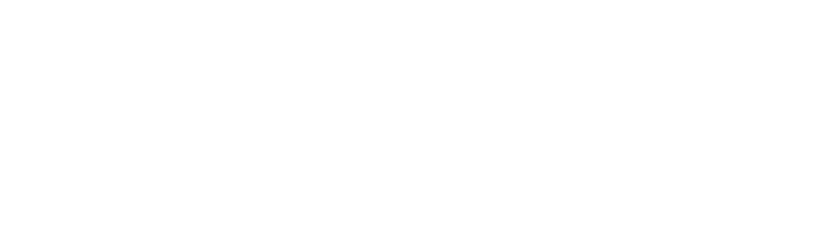 Le JSD