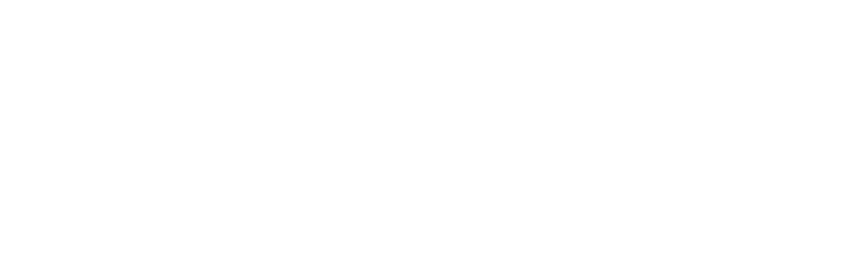 Le JSD